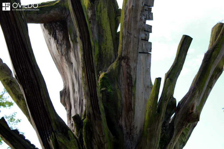 Escultura Ernesto Winter Blanco